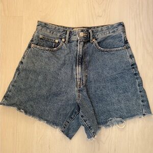 Everlane A-line Blue Jean Shorts